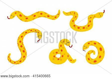 Vector Illustration Of Anaconda. Tropical Snake Isolated On White Background. Set