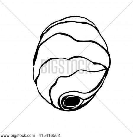 Vespiary Illustration Black Isolated On White Background