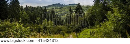 A Rural Road In The Carpathian
