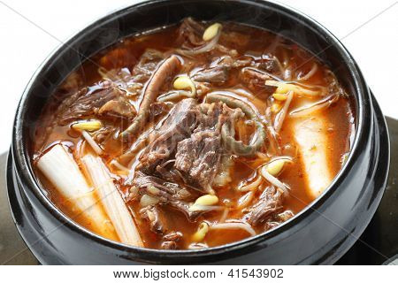 ユッケジャン、スパイシーな牛肉と野菜のスープ、韓国料理
