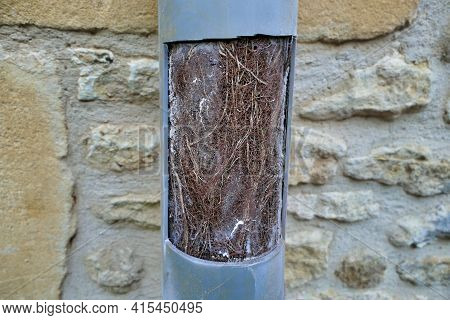 Drainage Pipe Cut Open To Show How Roots Can Tangle And Block Pipes, Ultimately Leading To Blockages