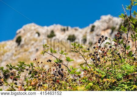 View Of Rocca Del Crasto Near Alcara Li Fusi Town In The Nebrodi Park, Sicily