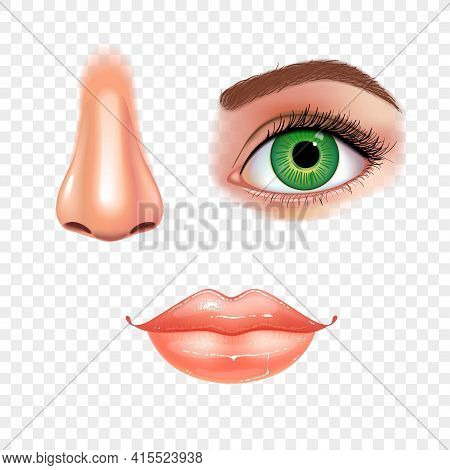 Set Of Beautiful Female Eye With Extended Eyelashes, Nose And Shining Mouth With Glossy Lips. Checke