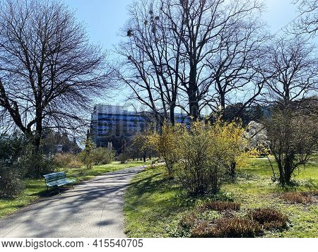 Conservatory And Botanical Garden Of The City Of Geneva (conservatoire Et Jardin Botaniques De La Vi