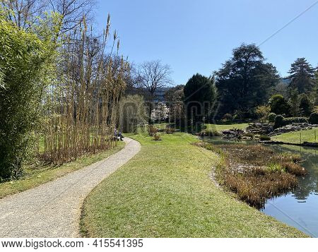 Conservatory And Botanical Garden Of The City Of Geneva (conservatoire Et Jardin Botaniques De La Vi