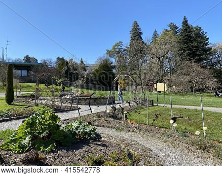 Conservatory And Botanical Garden Of The City Of Geneva (conservatoire Et Jardin Botaniques De La Vi