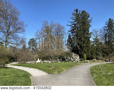 Conservatory And Botanical Garden Of The City Of Geneva (conservatoire Et Jardin Botaniques De La Vi