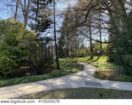 Conservatory And Botanical Garden Of The City Of Geneva (conservatoire Et Jardin Botaniques De La Vi