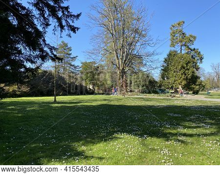 Conservatory And Botanical Garden Of The City Of Geneva (conservatoire Et Jardin Botaniques De La Vi