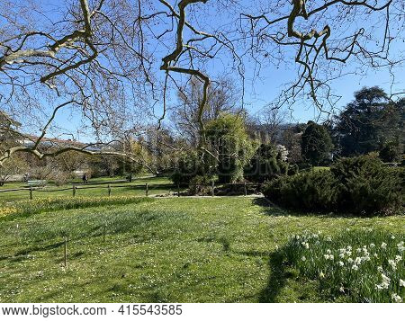 Conservatory And Botanical Garden Of The City Of Geneva (conservatoire Et Jardin Botaniques De La Vi