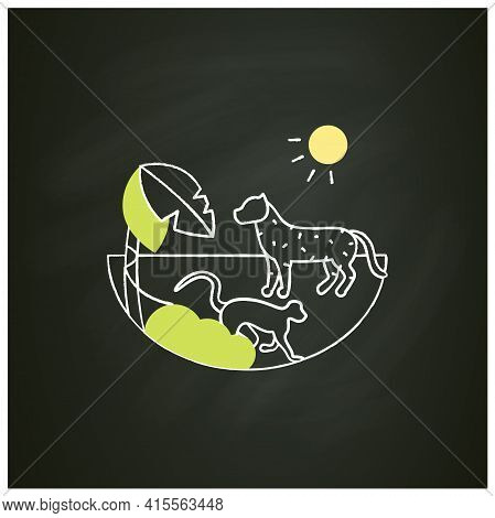 Tropical Rainforest Chalk Icon.humid And Warm Place.located Near The Equator.living Place For Danger