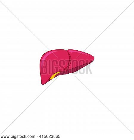 Modern Minimalistic Human Liver Icon Vector. Simple Liver Sign For Human Anatomy, Medical Or Healthc