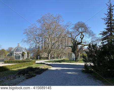 Temperate House (serre Tempérée), Conservatory And Botanical Garden Of The City Of Geneva (conservat