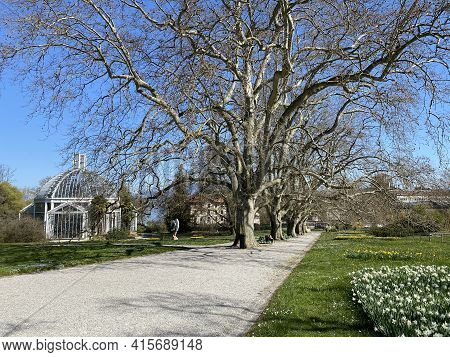 Temperate House (serre Tempérée), Conservatory And Botanical Garden Of The City Of Geneva (conservat