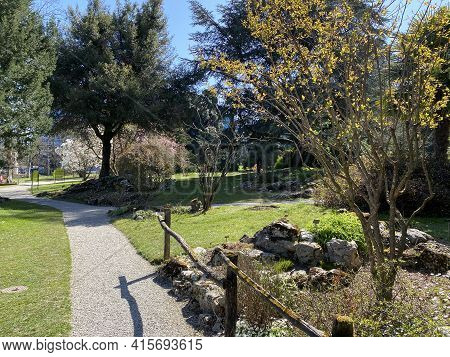 Rockery Or Rocailles, Conservatory And Botanical Garden Of The City Of Geneva (conservatoire Et Jard