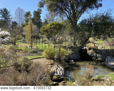 Rockery Or Rocailles, Conservatory And Botanical Garden Of The City Of Geneva (conservatoire Et Jard