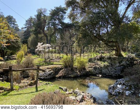 Rockery Or Rocailles, Conservatory And Botanical Garden Of The City Of Geneva (conservatoire Et Jard