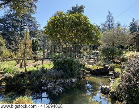 Rockery Or Rocailles, Conservatory And Botanical Garden Of The City Of Geneva (conservatoire Et Jard