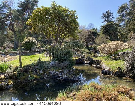 Rockery Or Rocailles, Conservatory And Botanical Garden Of The City Of Geneva (conservatoire Et Jard