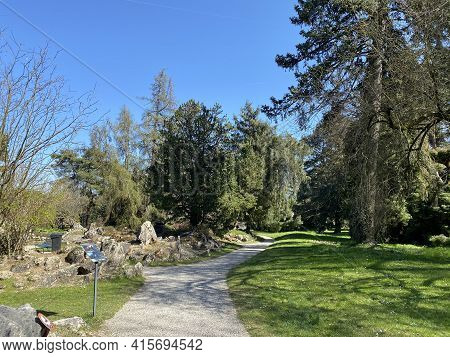 Rockery Or Rocailles, Conservatory And Botanical Garden Of The City Of Geneva (conservatoire Et Jard