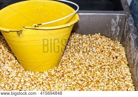 A Lot Of Freshly Washed Corn In A Tub And A Yellow Bucket On It