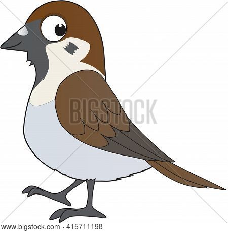 Cartoon Illustration Of A Java Sparrow Smiling Friendly