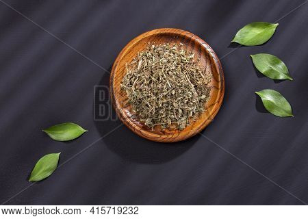 Phyllanthus Niruri - Stone Chanca. Medicinal Plant