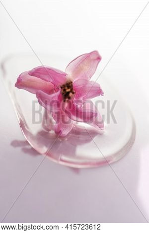 A Drop Of Cosmetic Gel With Flower On A Pink Background.
