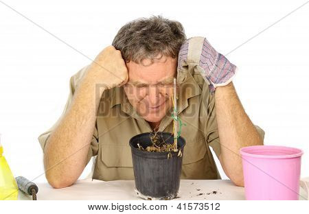 Teleurgesteld Gardener