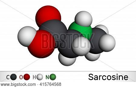 Sarcosine, N-methylglycine, N-alkylglycine Molecule. It Is Amino Acid Derivative, Conjugate Acid Of 