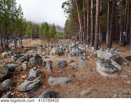 Eastern Sayans, Buryatia. Sacred Grove At The Mineral Spring Of The Arshan Resort.