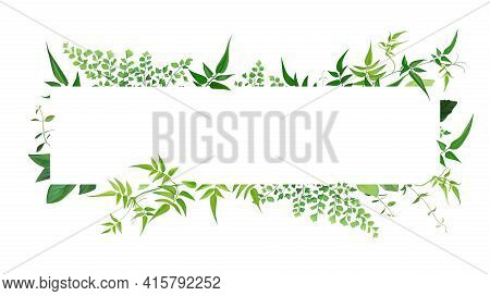 Fresh Natural Greenery Leaves, Branches, Jasmine Vine, Forest Fern, Herbs Botanical Border, Frame, T