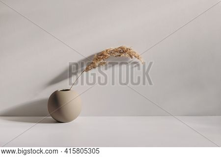 Modern Summer, Fall Still Life Photo. Beige Ball Shaped Vase With Dry Festuca Grass In Sunlight With
