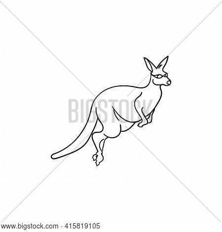 Kangaro Animal Vector. Kangaro Design Logo Template