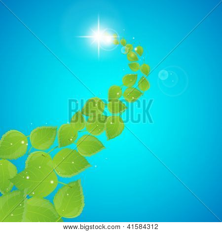 Fondo con hojas verdes frescas.