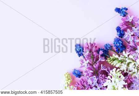 Syrínga Vulgáris Flowers On A Light Pink Background. Spring Flower Arrangement. Background For A Gre