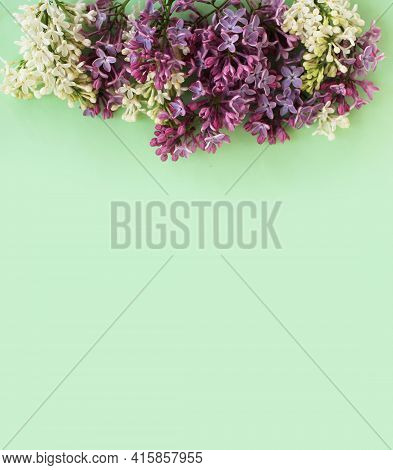 Syrínga Vulgáris Flowers On A Light Green Background. Spring Flower Arrangement. Background For A Gr
