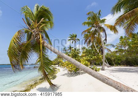 Morrocoy National Park, Paradise Islands With Coconut Trees, White Sand Beaches, Turquoise Ocean And
