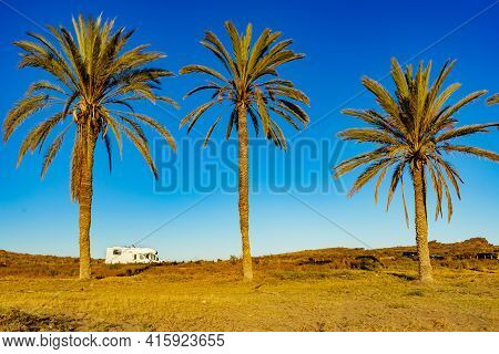 Camper, Recreational Vehicle On Mediterranean Coast With Palm Trees In Spain. Camping On Percheles B