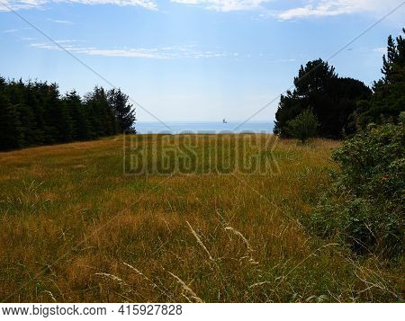 Typical Beautiful Natural Danish Coastline Beach Landscape In The Summer Fyn Funen Denmark