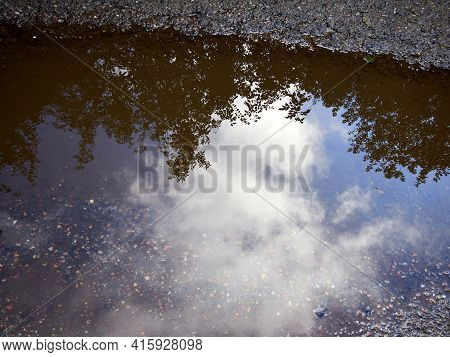 Bushes And Clouds Reflected In A Puddle In The Street With Clear Spcae For Graphics And Text