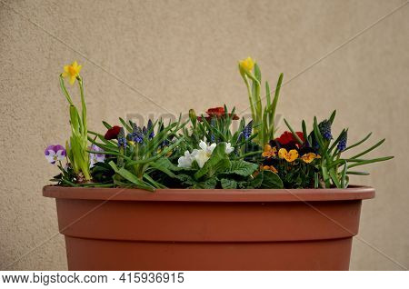Ornamental Flower Pots On The Windows Of The House. Plastic Flower Pots With Beautiful Decorations O