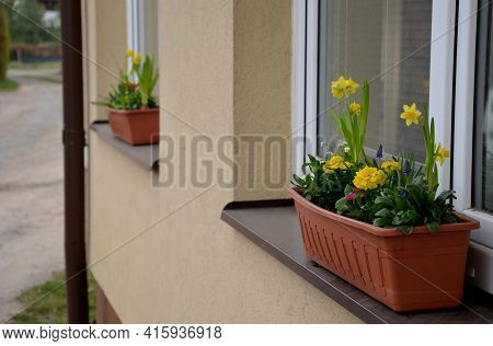 Ornamental Flower Pots On The Windows Of The House. Plastic Flower Pots With Beautiful Decorations O