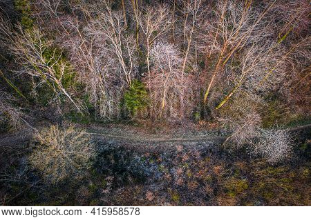aerial view of a trail passing through a deciduous forest in early spring