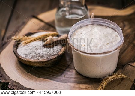 The Leaven For Bread Is Active. Starter Sourdough ( Fermented Mixture Of Water And Flour To Use As L