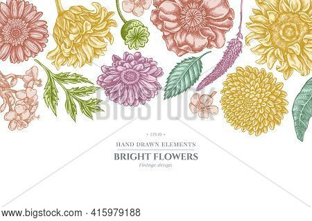 Floral Design With Pastel Poppy Flower, Gerbera, Sunflower, Milkweed, Dahlia, Veronica Stock Illustr