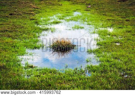 Puddle In A Meadow After A Rain Storm With A Reflection Of The Sky And An Island Of Grass In The Mid