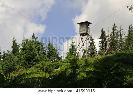 Upp högt i Schwarzwald, Tyskland