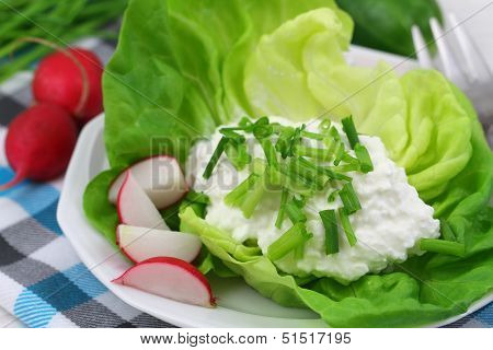 Healthy breakfast of cottage cheese with chives and radish