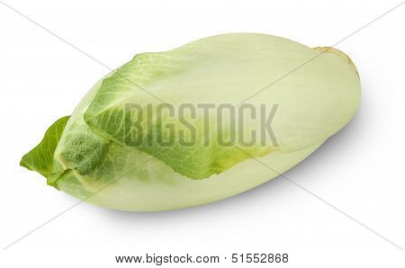 Fresh Endive